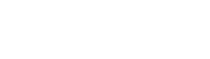 Defense Domain Logo footer